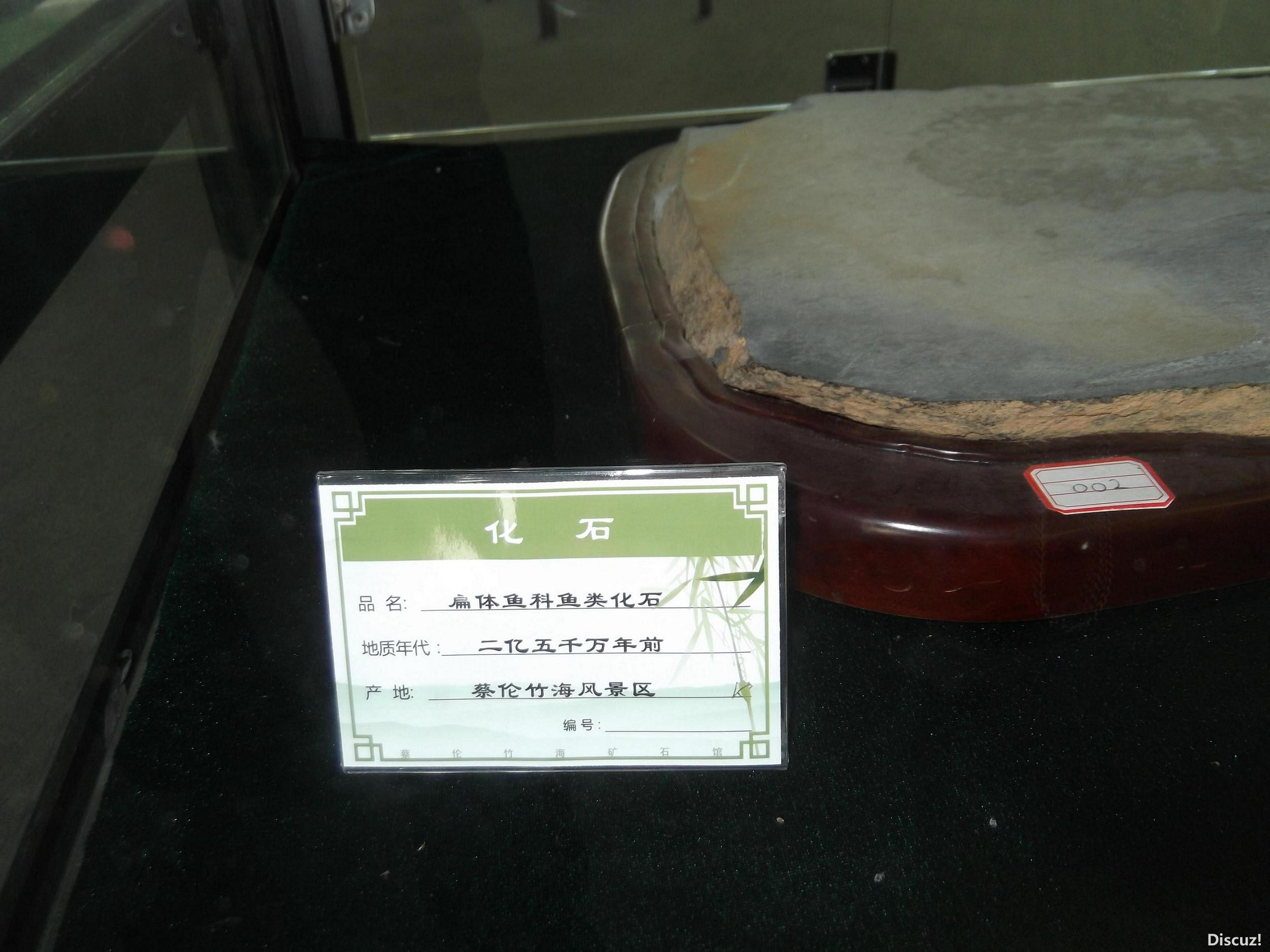 DSCF0206.JPG