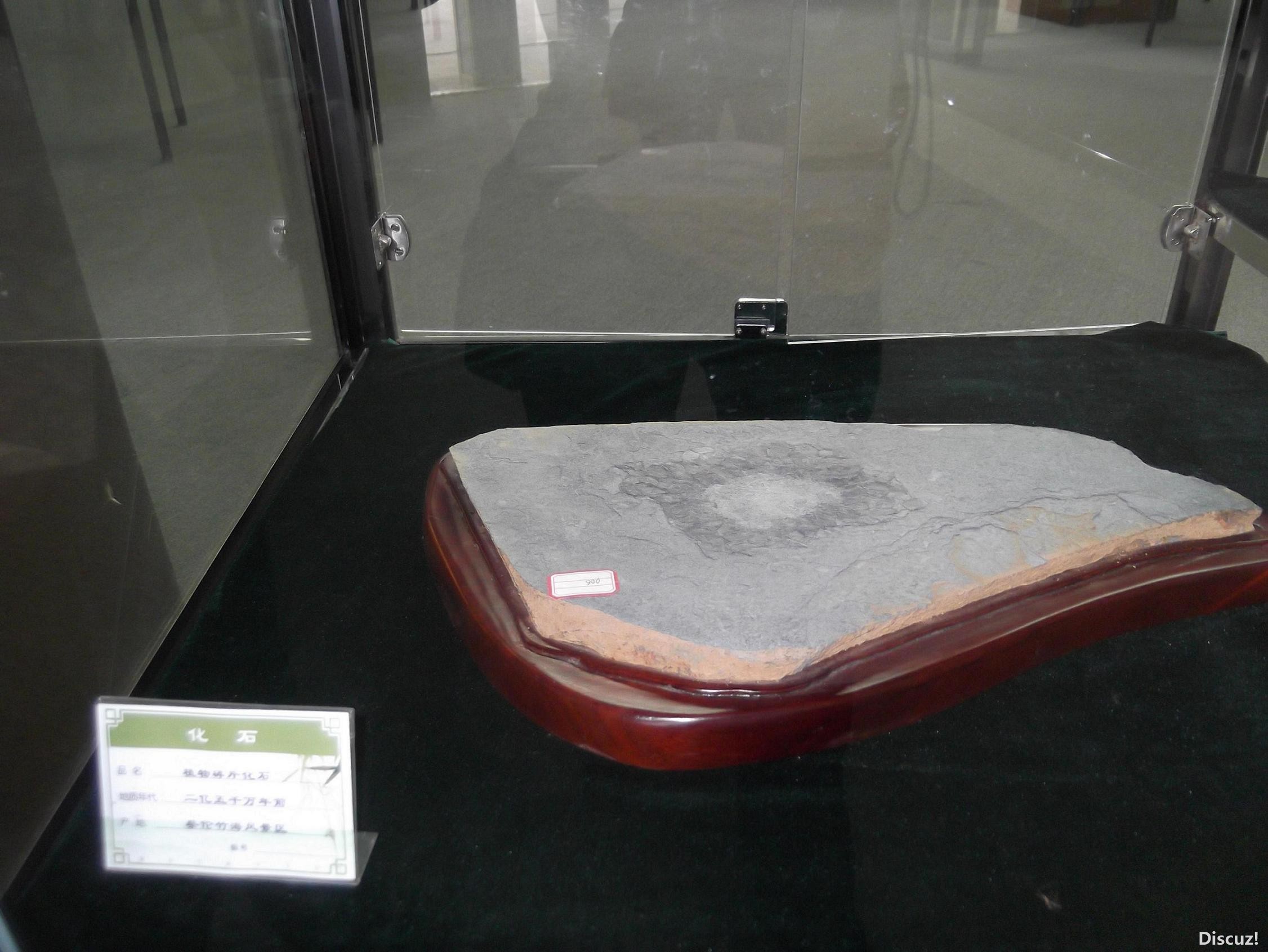 DSCF0207.JPG