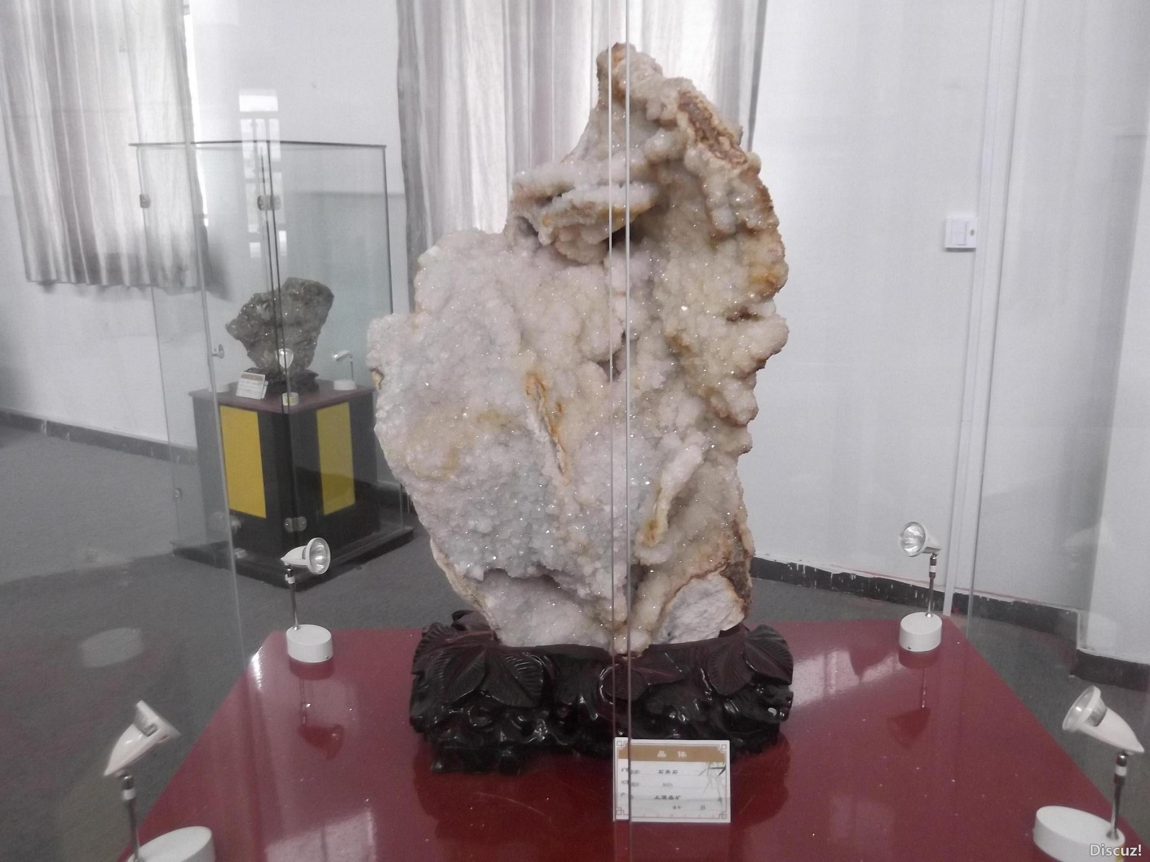 DSCF0208.JPG