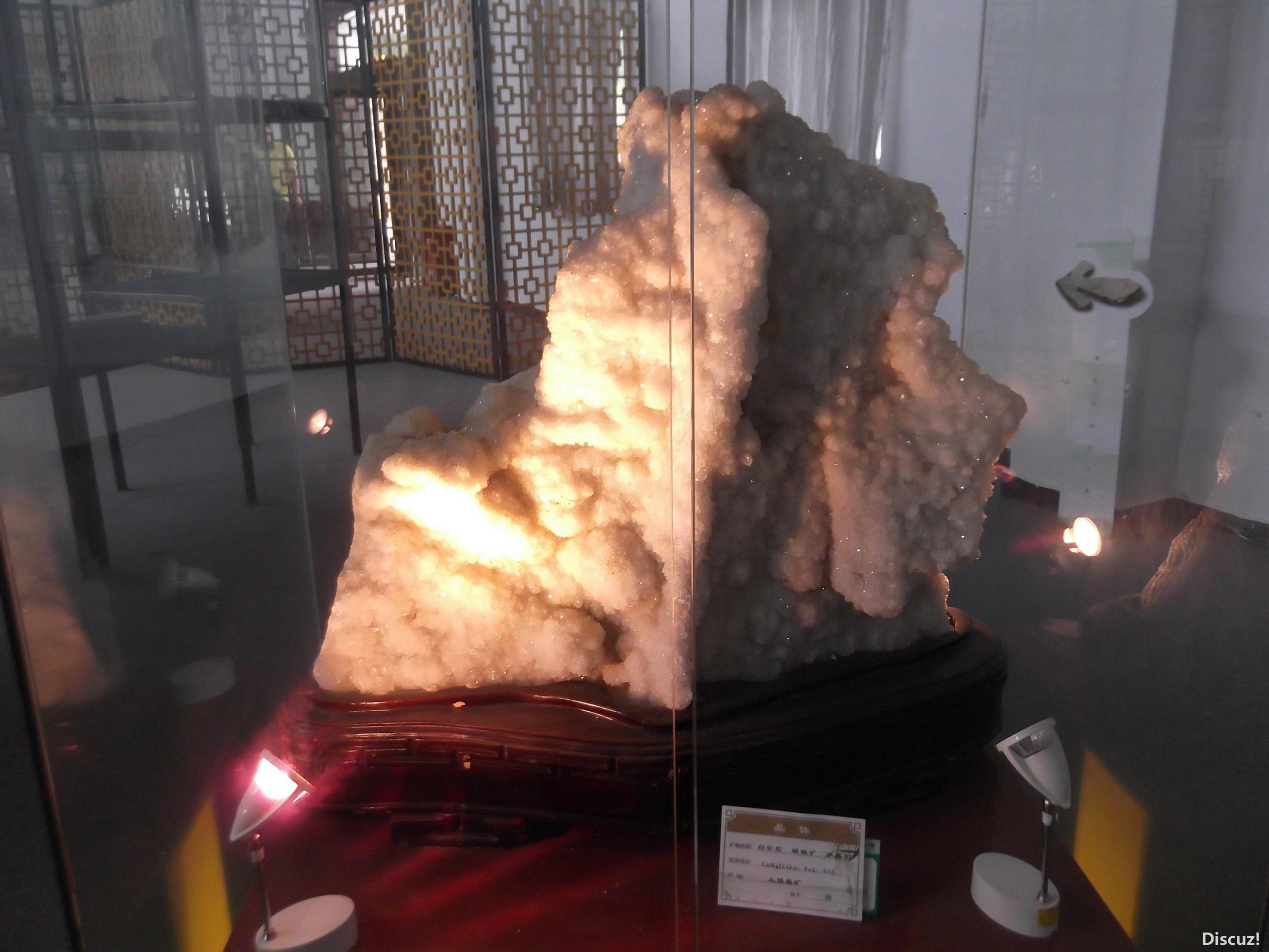 DSCF0211.JPG