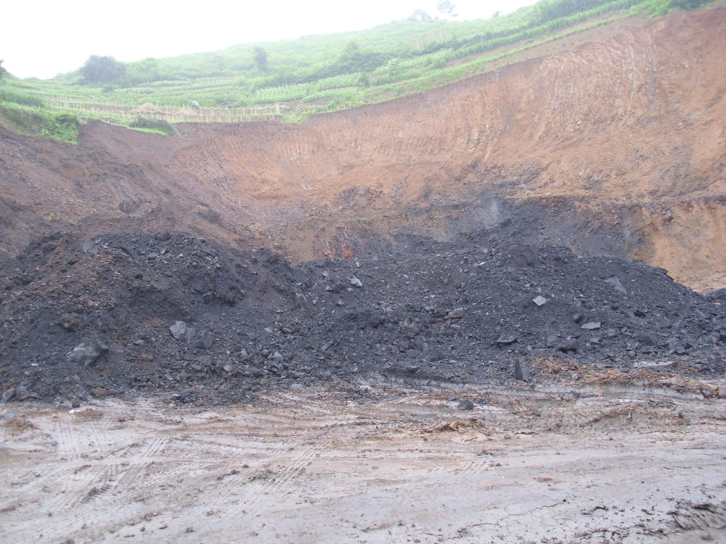 DSCI1048.JPG