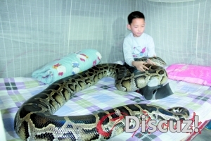 ߺг.jpg