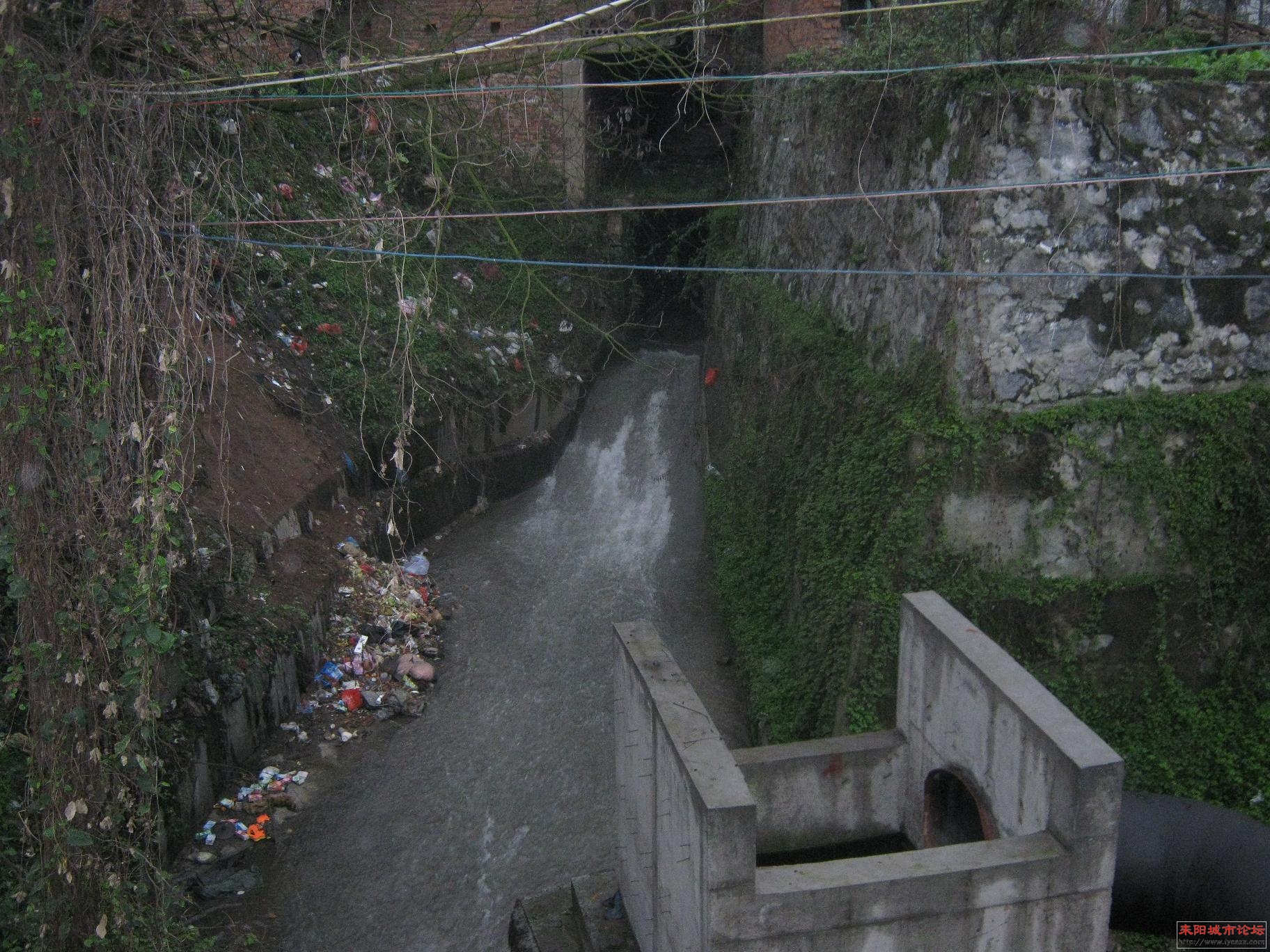 ʰ 131.jpg