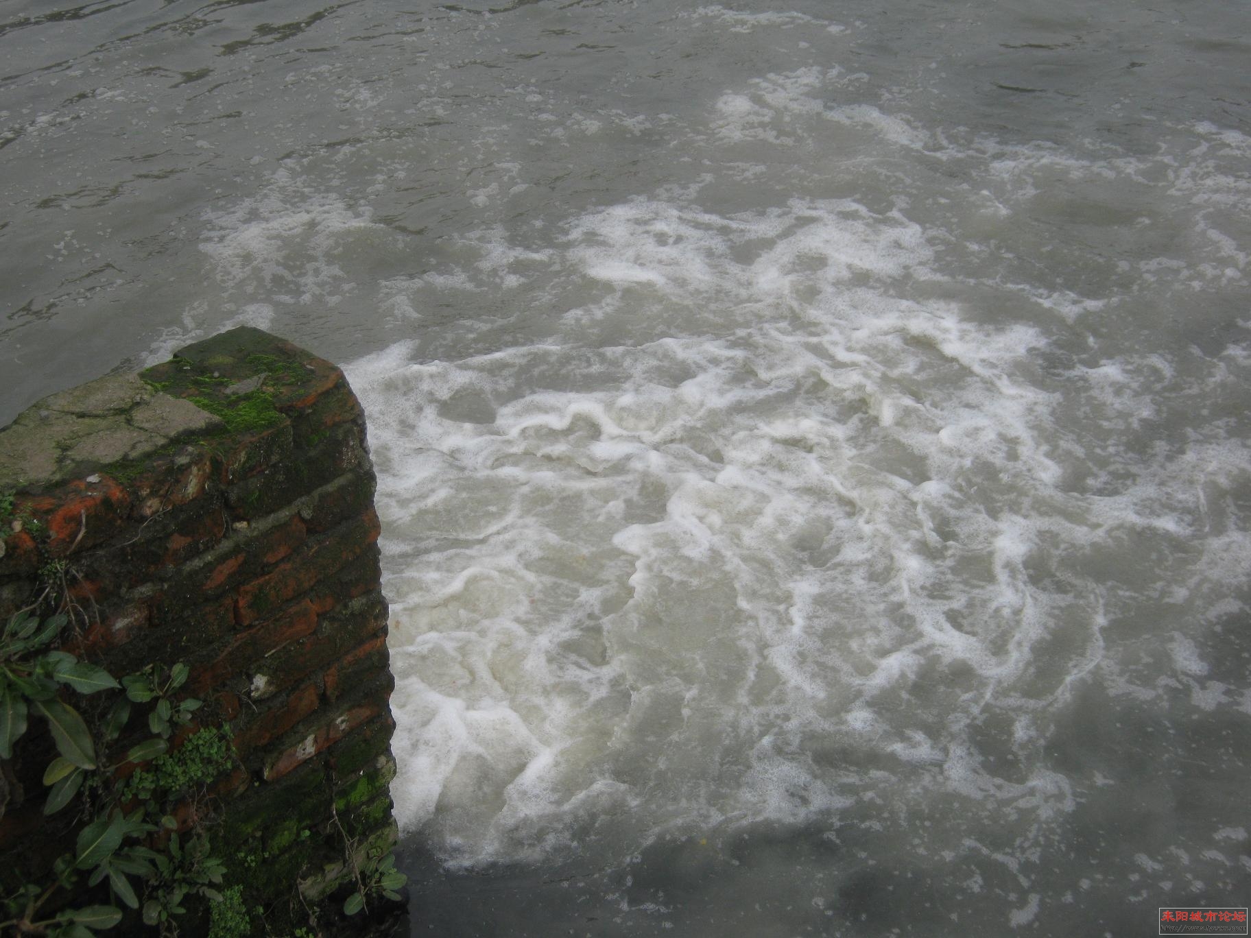 ʰ 029.jpg