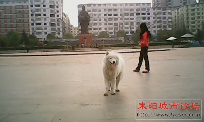 IMG_0019.JPG