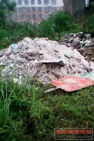 IMG0605A.jpg