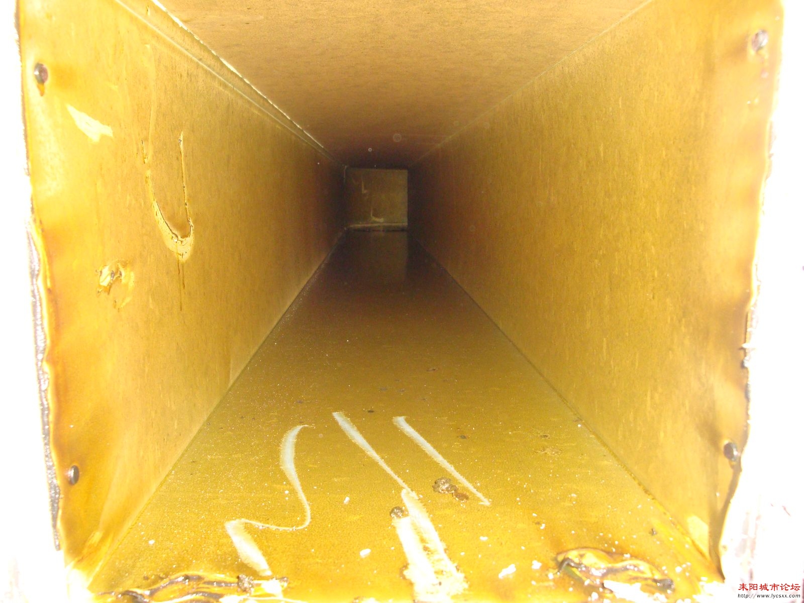 201172913842914.jpg