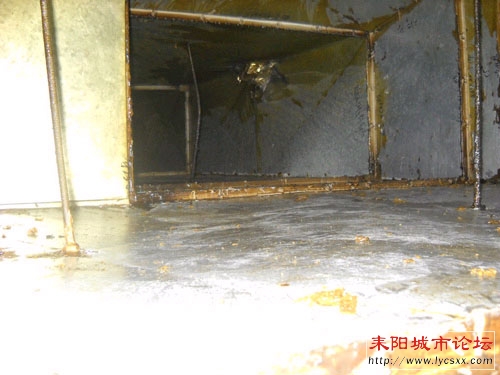 20110810110657606.jpg