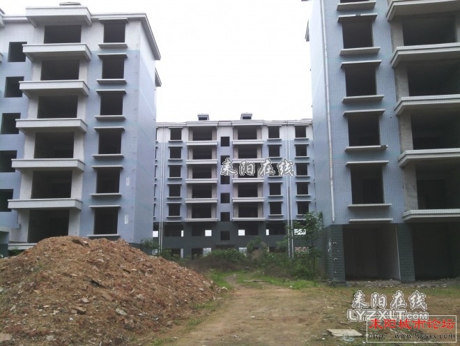 104257rrp5lzslg2bz725v.jpg