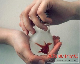 @009RWC)WH44_9@PNLCQR{S.jpg