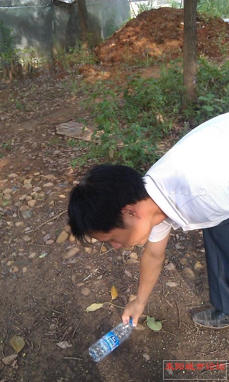 IMAG1193.jpg