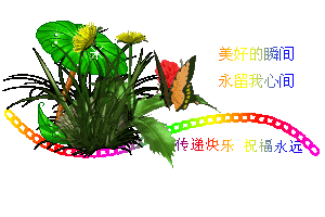 美好瞬间.gif