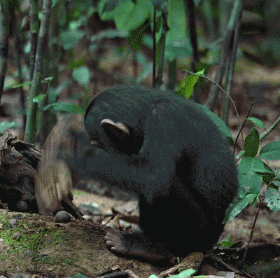 8f01912.gif