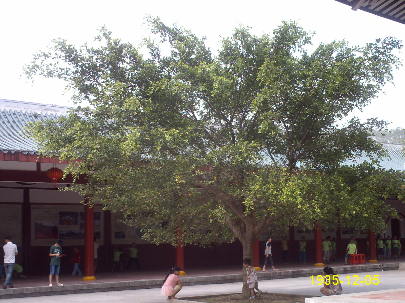 IMG_2994.JPG