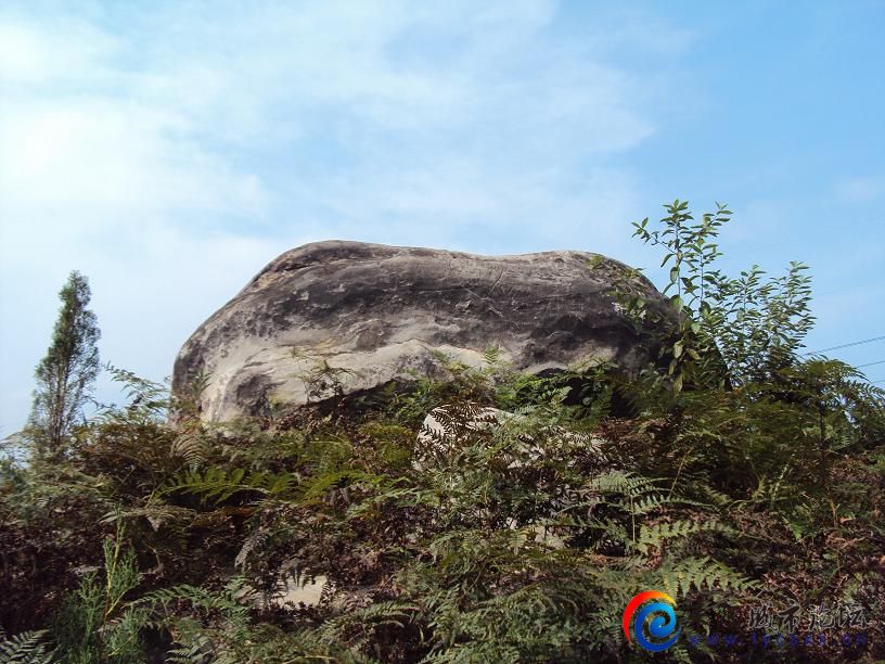 DSC08032.JPG