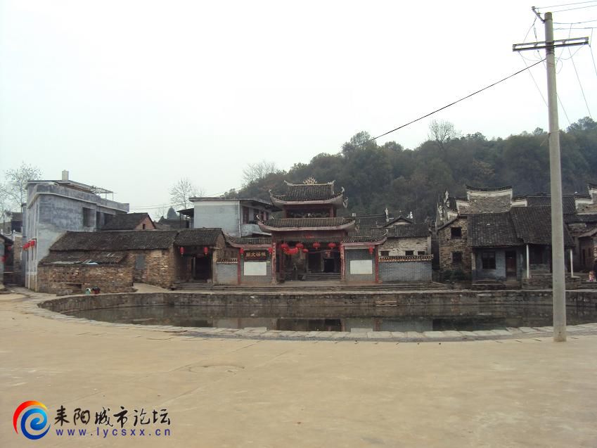 DSC09017.JPG