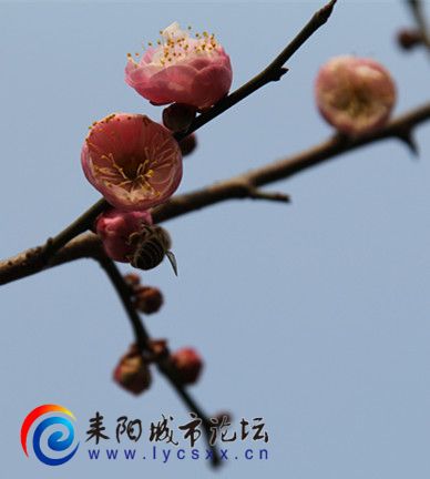 IMG_8504_.jpg
