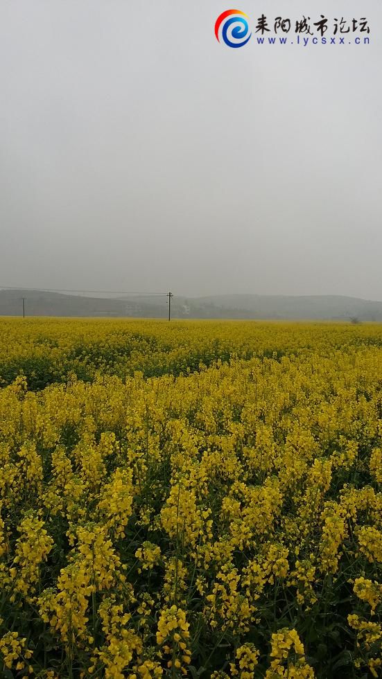 20150315_101552.JPG