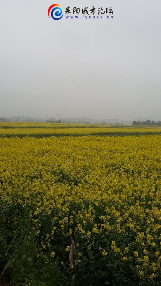 20150315_170515.JPG