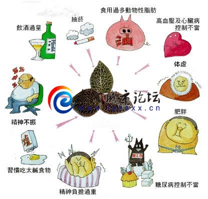 2013120522500586.jpg