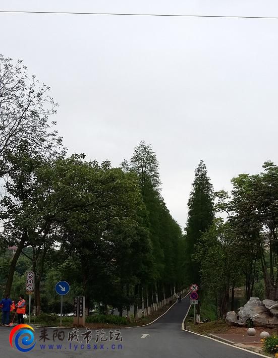 20150508_145807.JPG