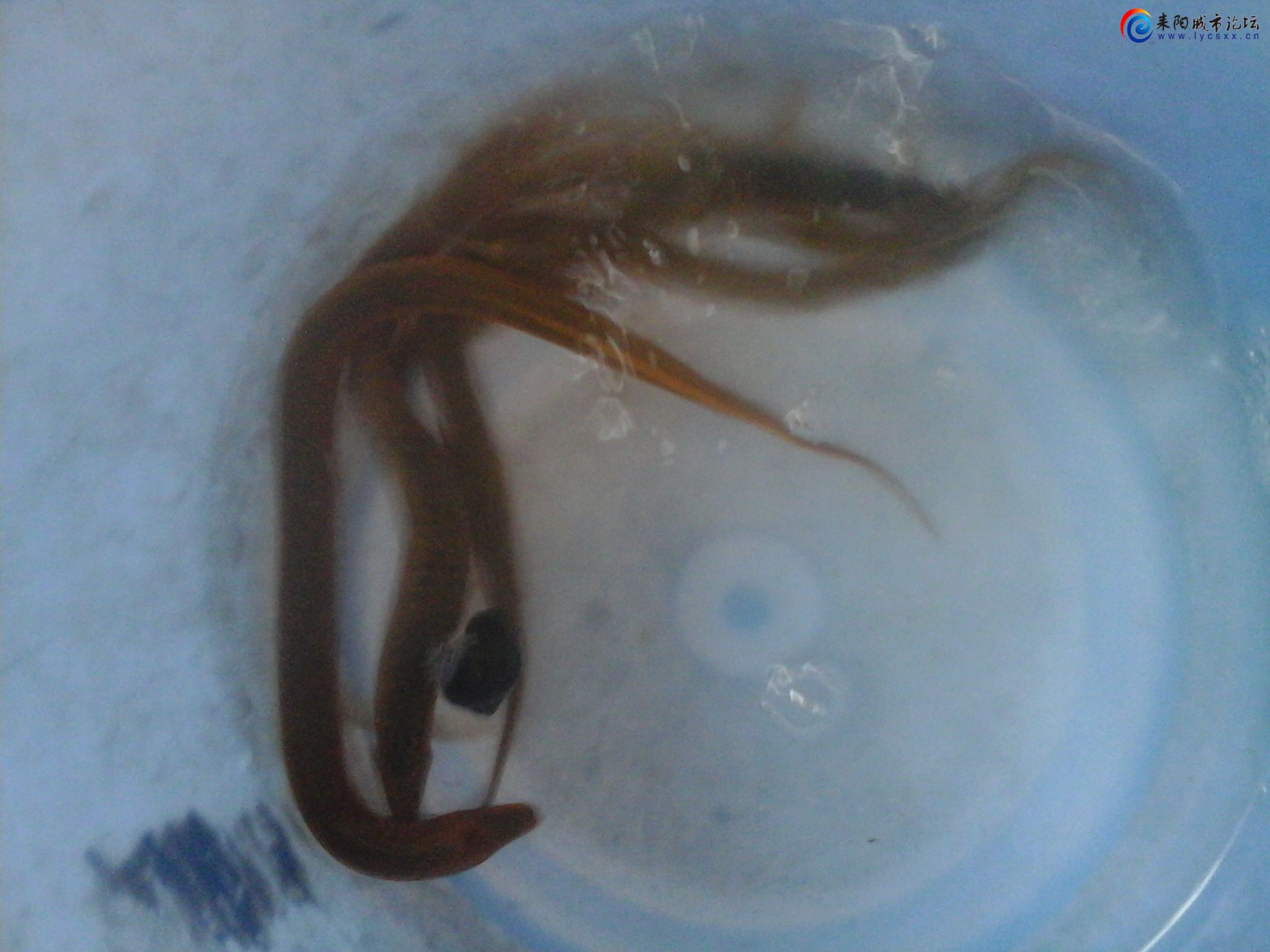 20150604_174020.jpg