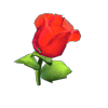 컨.gif