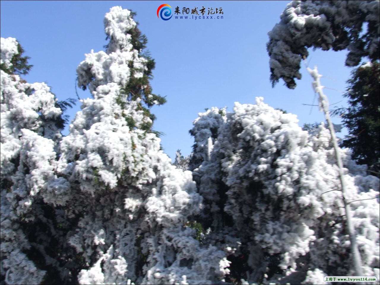 201215154555.jpg
