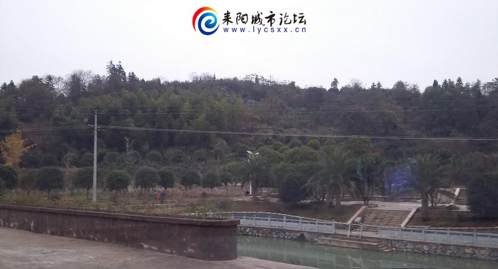 20151126_172037.JPG