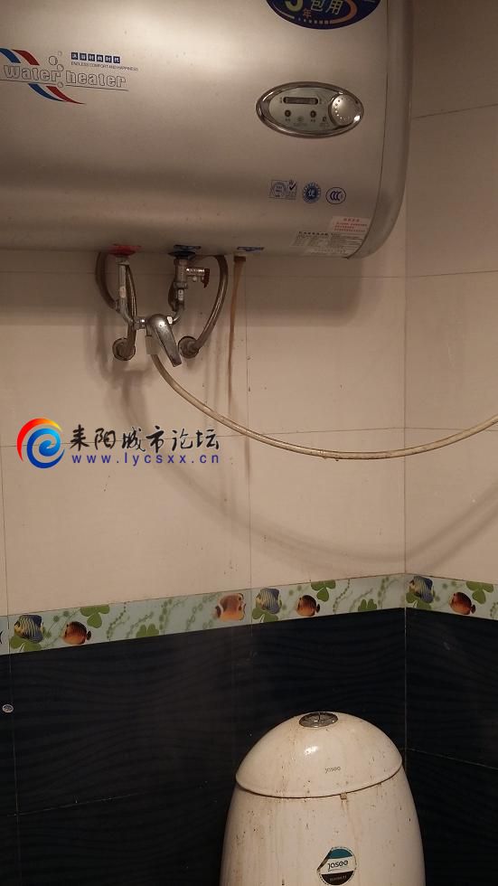 20151211_115423.JPG