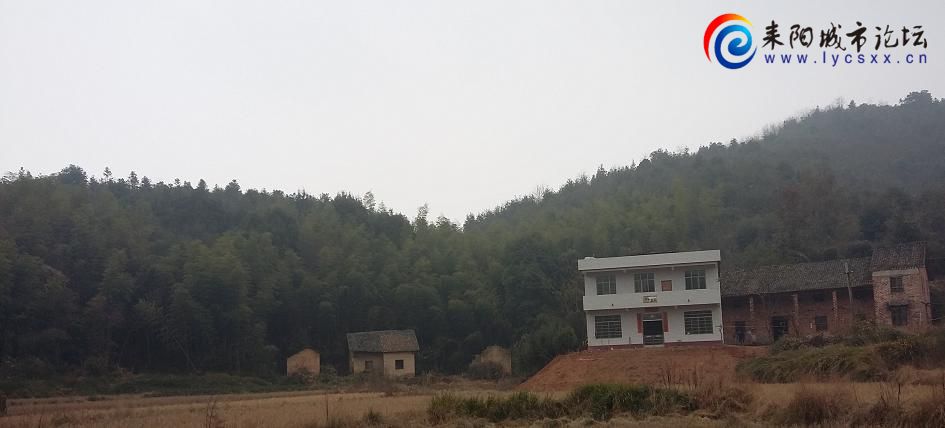 20151230_131447.JPG