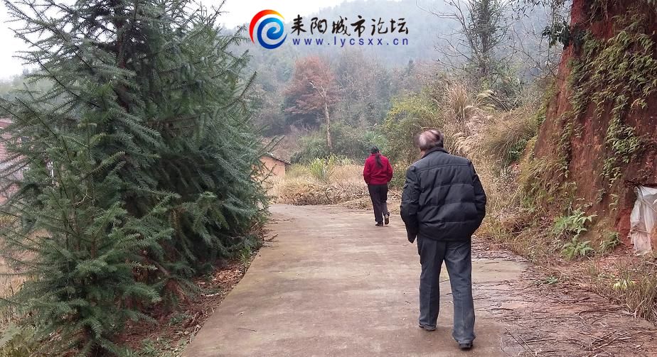 20151230_123254.JPG