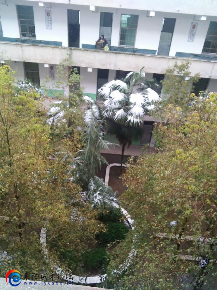 ϵĻѩǲǵĵ·˵ ȴЩģϾ2016ĵһѩ.jpg