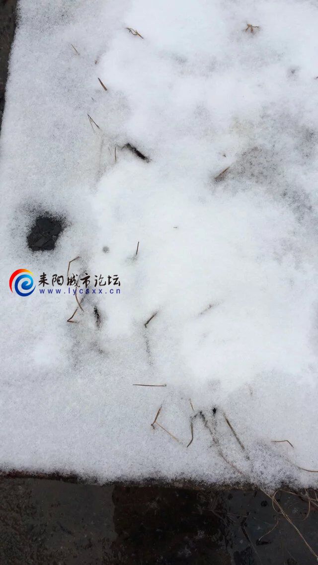 QQͼƬ20160124004209.jpg