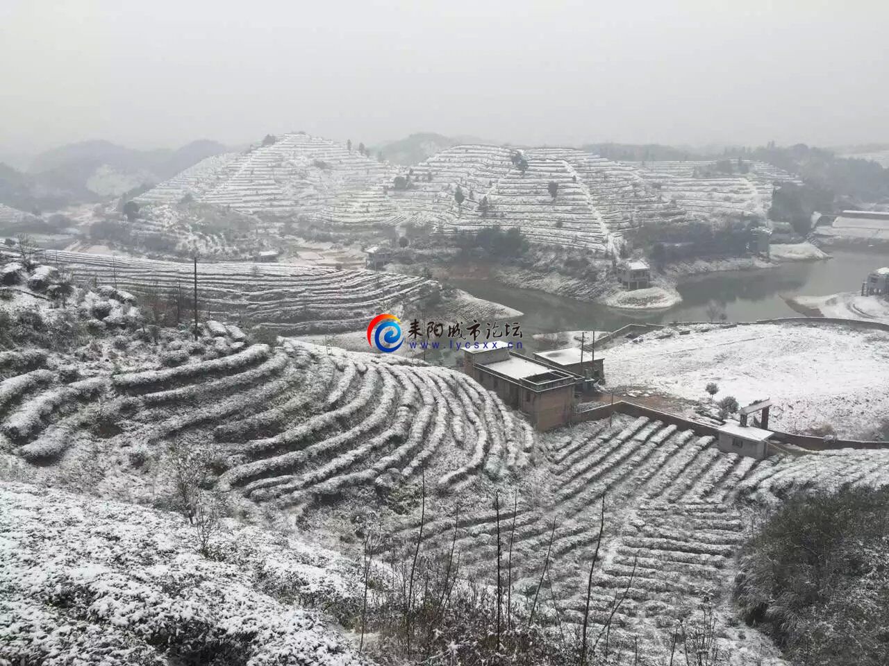 QQͼƬ20160124004747.jpg