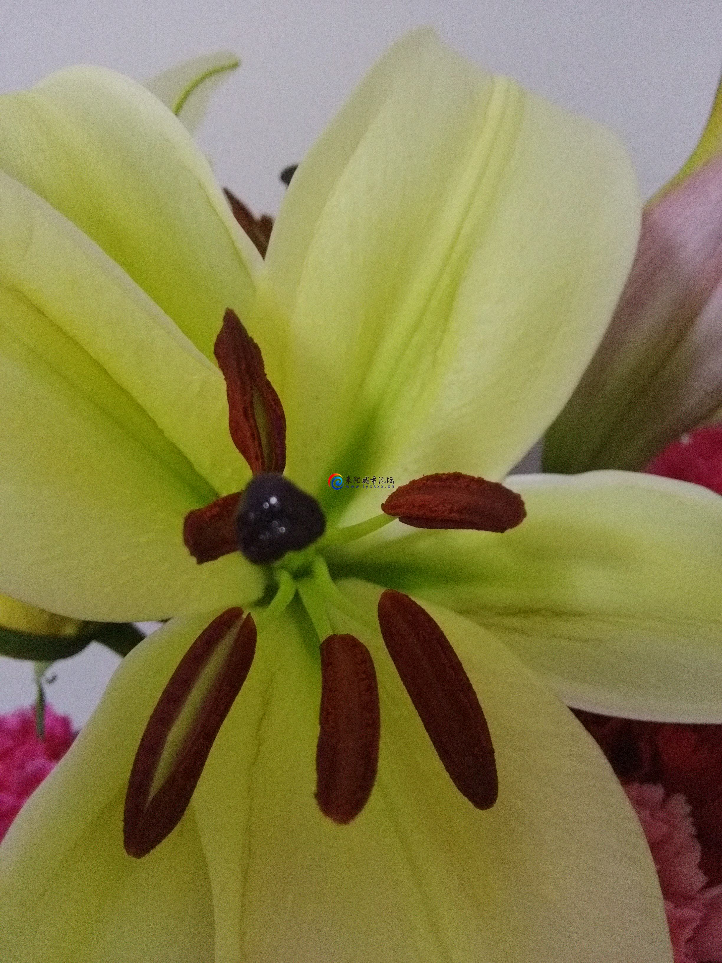 microMsg.1455294112029.jpg