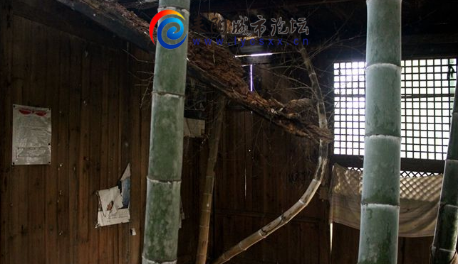 14.png