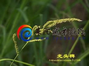 u=3707155077,190966788&amp;fm=21&amp;gp=0.jpg