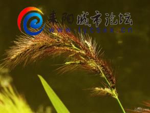 u=2518597528,3235641626&amp;fm=21&amp;gp=0.jpg