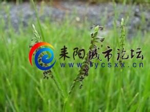 u=1828814354,3666535378&amp;fm=21&amp;gp=0.jpg
