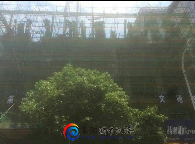 mmexport1464605288461_1464605443955.jpg
