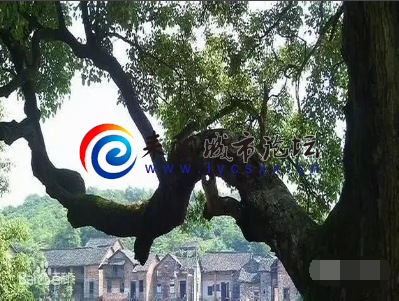 33.png