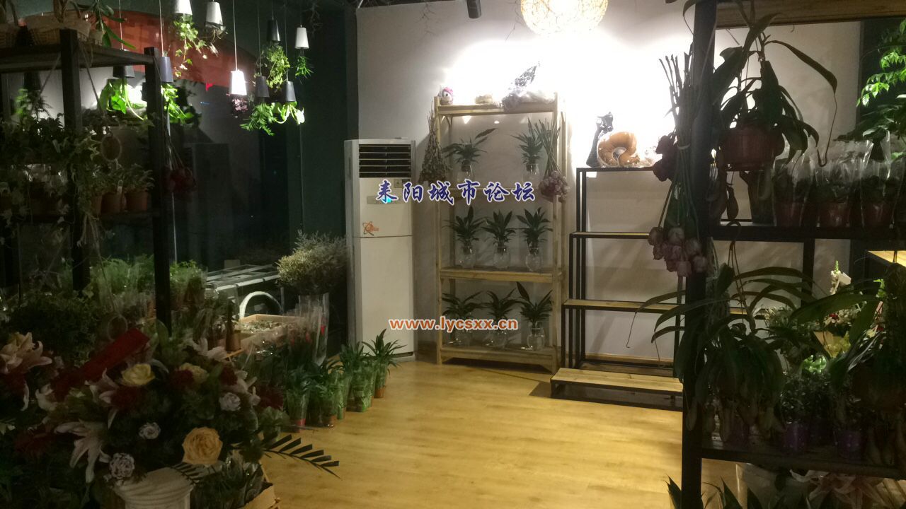 123.jpg