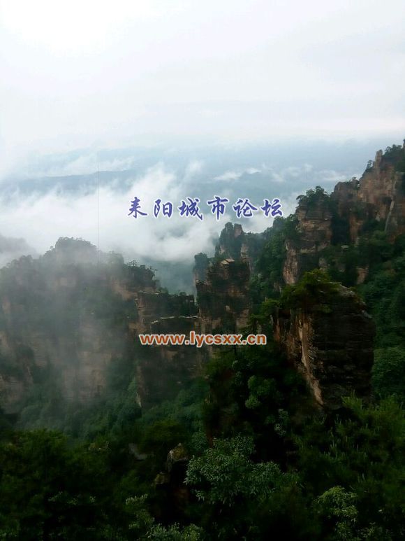 fc3d2934349b033bef44b8cb1dce36d3d439bdee.jpg