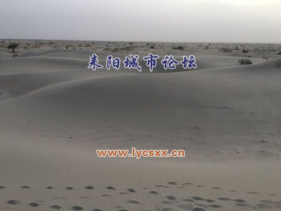604895cad1c8a786599aa14d6f09c93d71cf509c.jpg