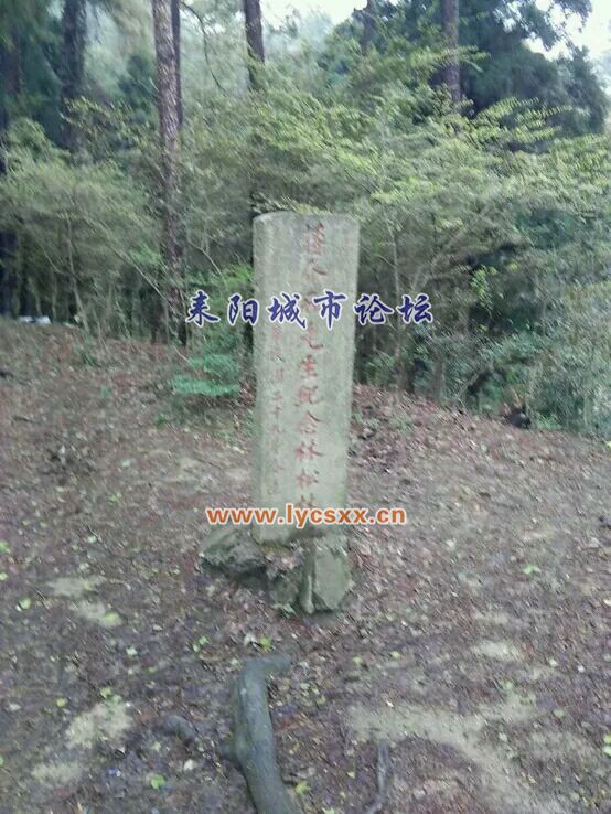 da155343fbf2b2113f4058efcd8065380dd78ed7.jpg