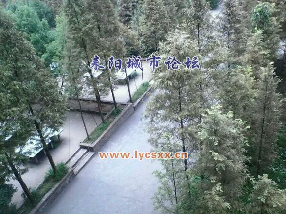 d7fa2a6d55fbb2fbad7af1bb474a20a44723dcdf.jpg
