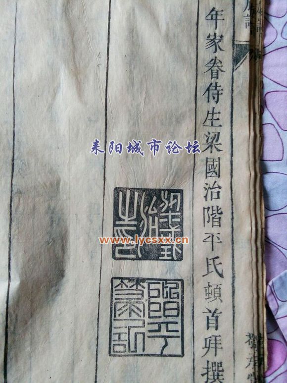 5c8fbc3eb13533fa24ff1bc4a0d3fd1f40345b62.jpg