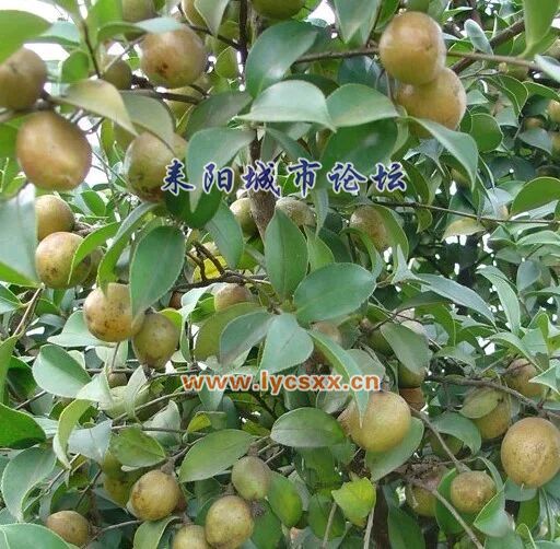 74facbef76094b3670de633eabcc7cd98c109d68.jpg