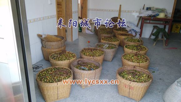 3225a9ec8a136327fcc89f4a928fa0ec09fac798.jpg